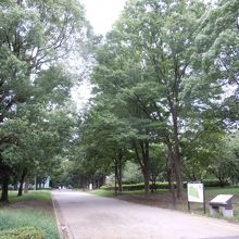 砧公園
