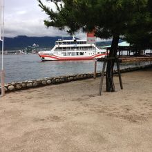 10分間隔で運行