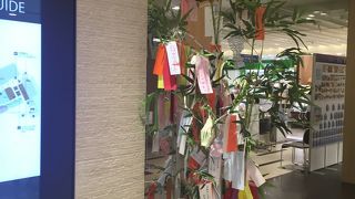 彦星さんと織姫さんは出会えましたか？