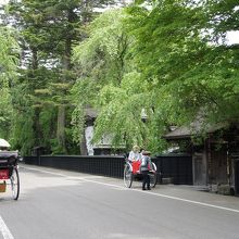 新緑の武家屋敷通り