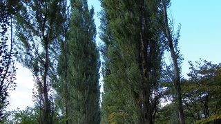 私のイメージする北海道はここです