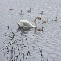 ホテルの道向かいの湖