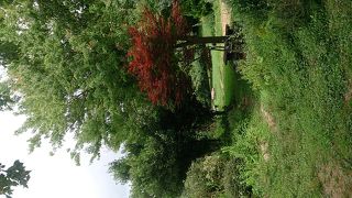 住宅地を抜けると広がる牧場