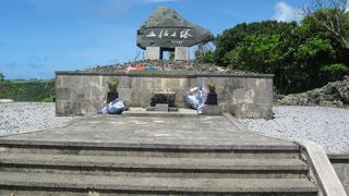 高知県所縁の戦没者を祀る慰霊塔として有志の手によって建立されたものが最初です。