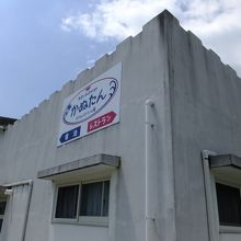 台風でやられてる感じ