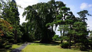 弘前の代表的な観光地