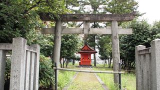 西大寺の一部です。