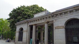 ５月初旬、マロニエの花が満開で色とりどりのジャーマンアイリスも咲いていました。