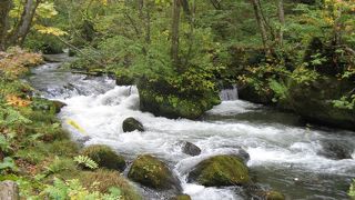 秋の奥入瀬渓谷