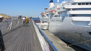 屋上からの眺めが素晴らしいです