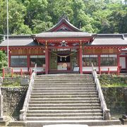 神社より有名な大クス