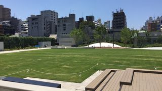 7月9日に芝生解禁になりました