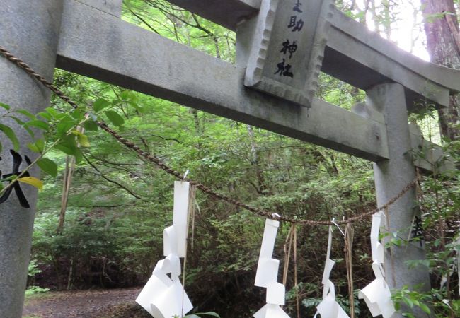 四万十の山奥に7歳のワルガキを祭る神社