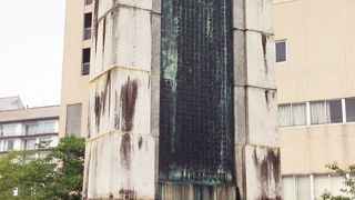 大きかったです。