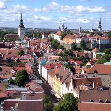 塔の上からの景色２