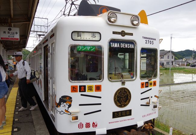 たま電車 クチコミ アクセス 営業時間 和歌山市 フォートラベル