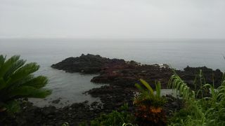 浦島太郎がいます