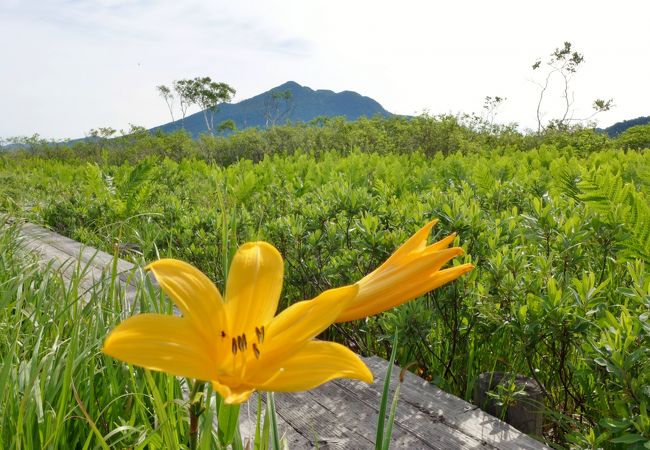 尾瀬ヶ原のほぼ中心です