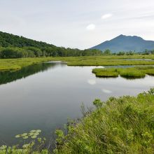 池塘