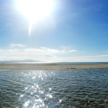 恐らくこれが島だと思われる