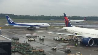飛行機が見れて嬉しかった