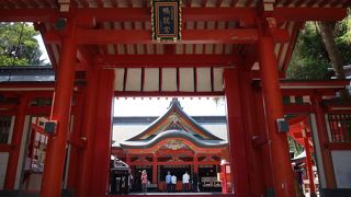 沿岸から神社の建物まで、日光を遮る所がないので注意