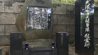 後方支援の部隊が正規歩兵部隊同様の熾烈な地上戦に投入されました。