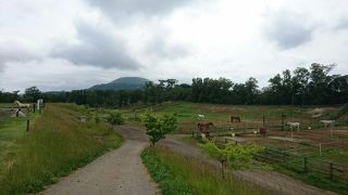 与那国馬ふれあい牧場