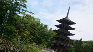 興味がある方は８月の七夕の間に行ってみるといいかもしれません