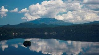 駐車場は有料です