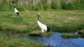 釧路郊外にあります
