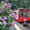 箱根登山電車