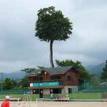 テニスコートの看板に注意