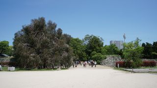 表御門を入るとちょっとした広い空き地があって