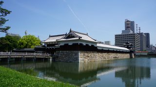 かっこうの撮影ポイント