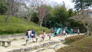 家族連れで桜満開、親しみやすい公園です。