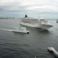 飛鳥?と神戸ベイクルーズ船（オーシャンプリンス）