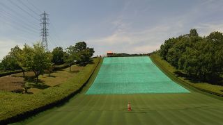 無料でも子供と一杯楽しめる公園