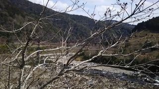 四万十川は四国の宝です