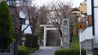 字が難しいです