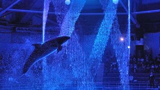 夜のショーは感動