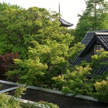 宝積寺の三重塔