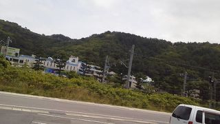 客席とイルカのビーチバレーがあります。