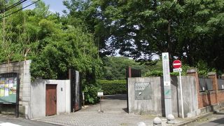 建物は立派だが展示が一寸難しかったかナ～