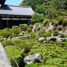 右手は緑美しい庭園