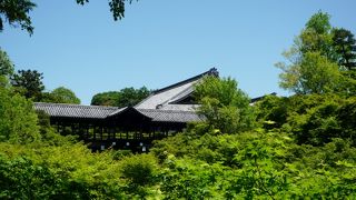 紅葉シーズンに、ここでゆっくり写真を撮るのは不可能