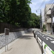 小石川植物園の東側の結構長くて急な坂です