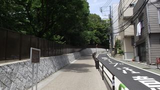 小石川植物園の東側の結構長くて急な坂です