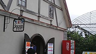 甘くて瑞々しい果物です