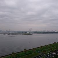 スカイツリーも見えましたよ